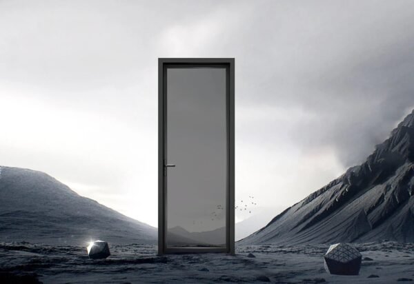 Medium narrow side hung door 40*48(1.4) - Image 3